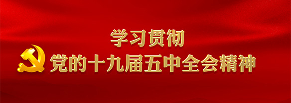學習貫徹黨的十九屆五中全會精神